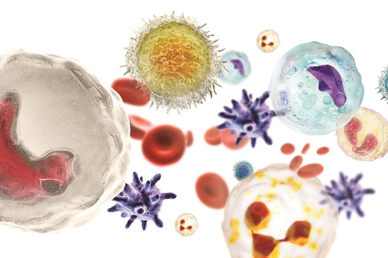 Illustration of NK Cells, T Cells, other immune cells floating across white background