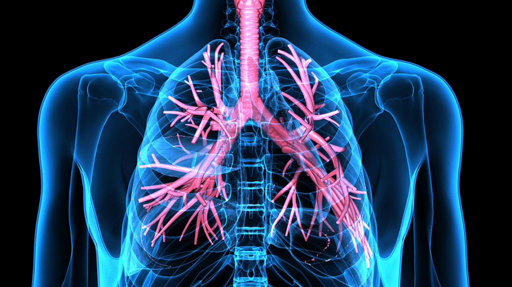 Illustration of lungs on blue silhouette of upper chest on black background