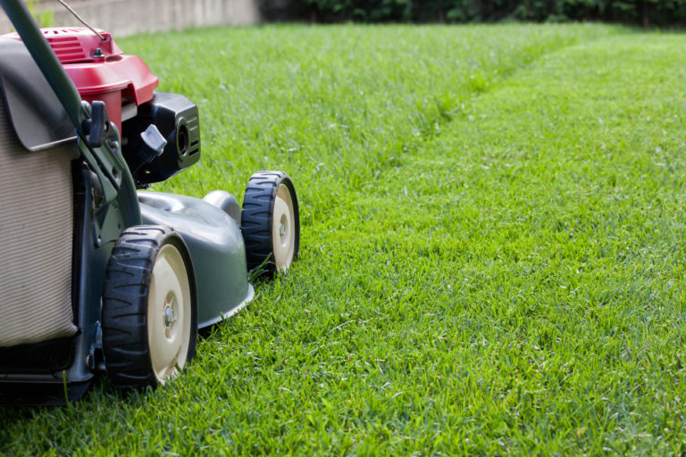 Lawnmower Injuries in Children Are Limb-Threatening and Avoidable ...