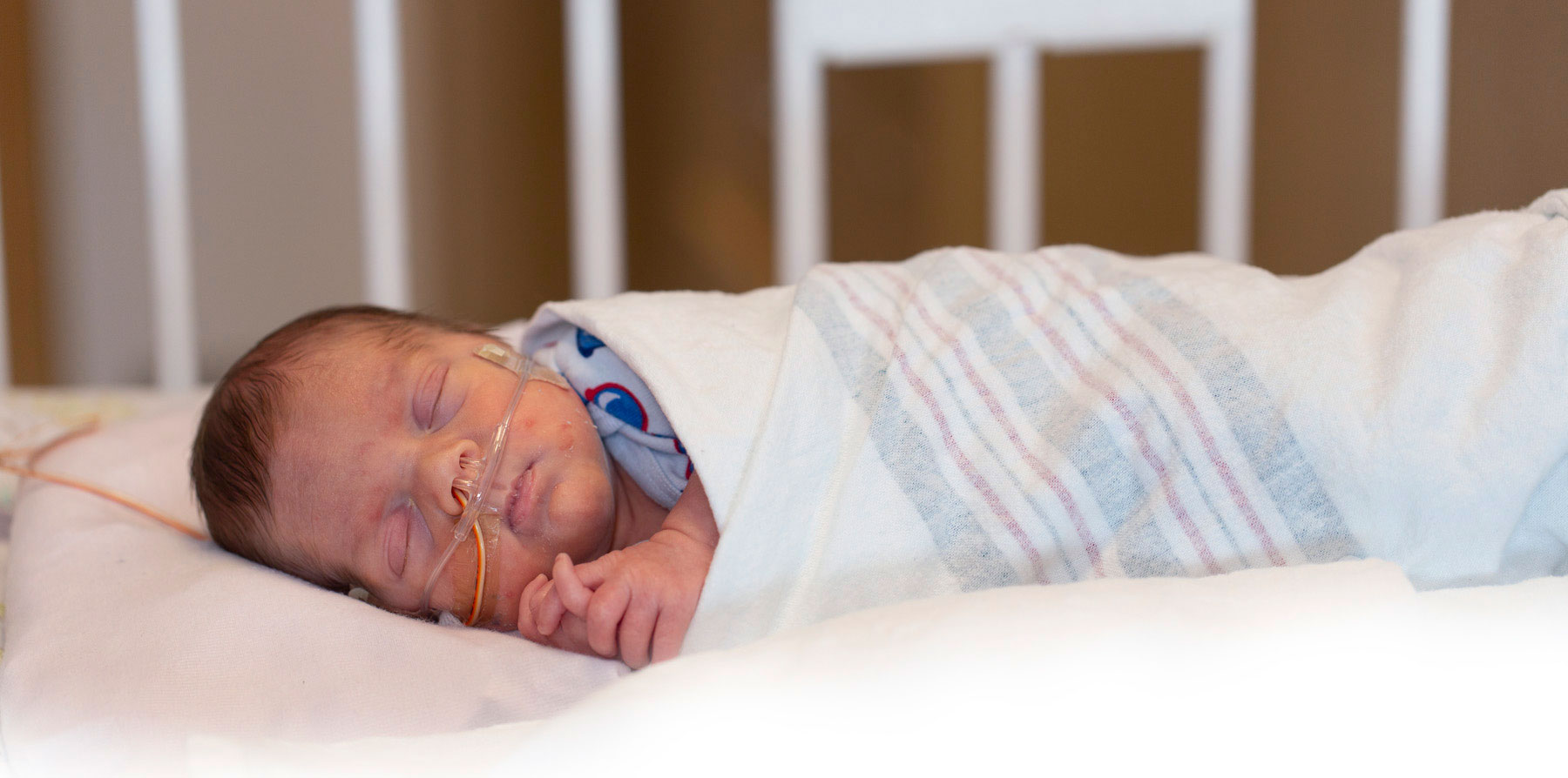 Newborn with bronchopulmonary dysplasia sleeping in a NICU crib, wrapped in a hospital blanket and receiving oxygen through a nasal cannula.