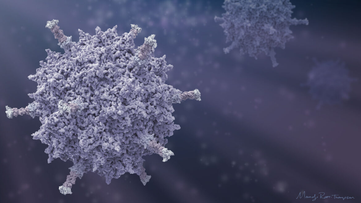 artistic illustration of adenovirus on a dark purplish background