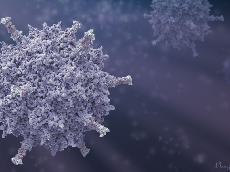 artistic illustration of adenovirus on a dark purplish background