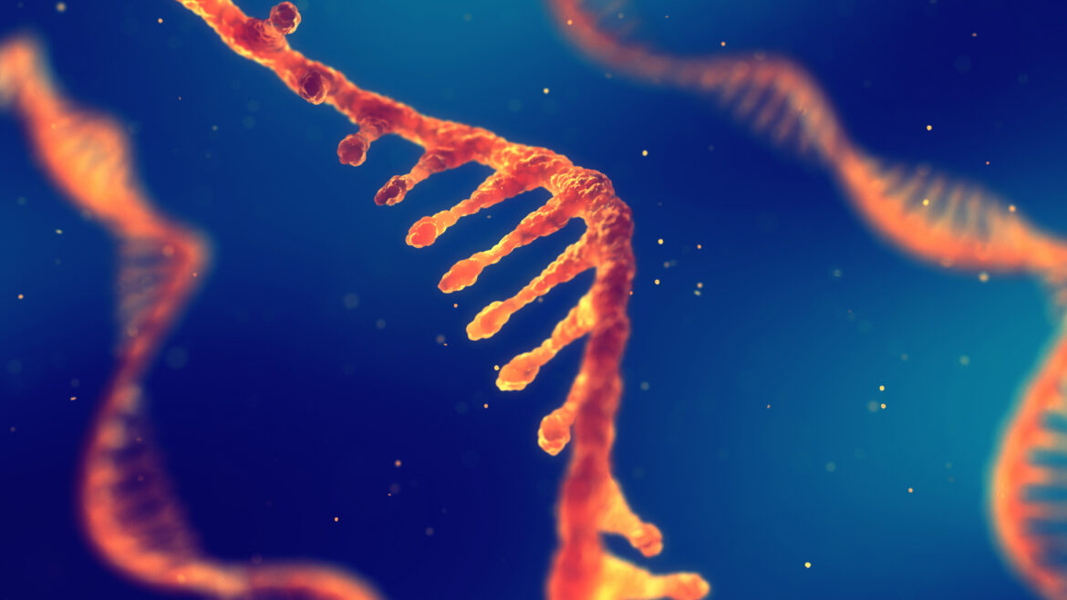 Close-up digital illustration of a DNA strand against a blue background.