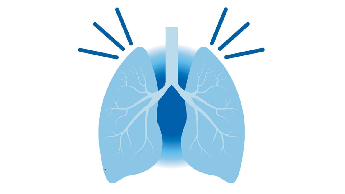 simple cartoon illustration of lungs
