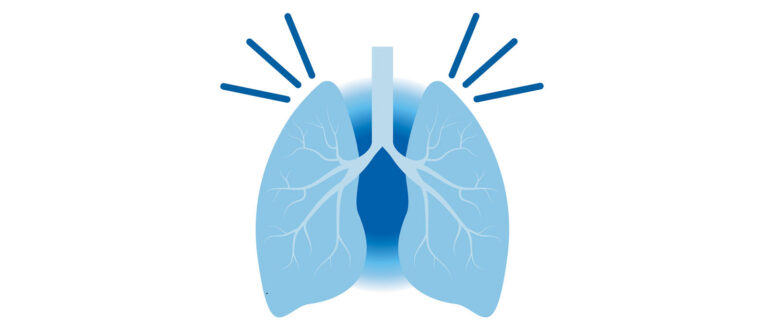 simple cartoon illustration of lungs