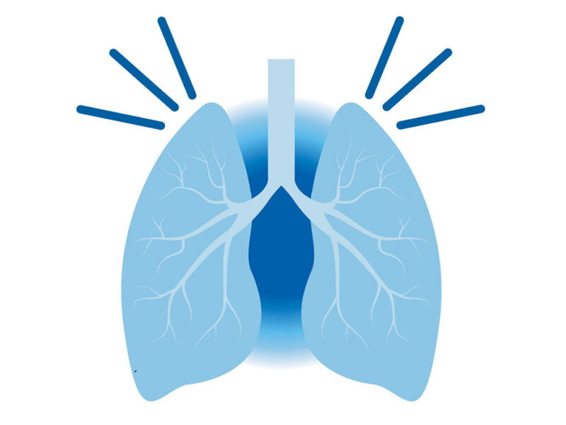 simple cartoon illustration of lungs