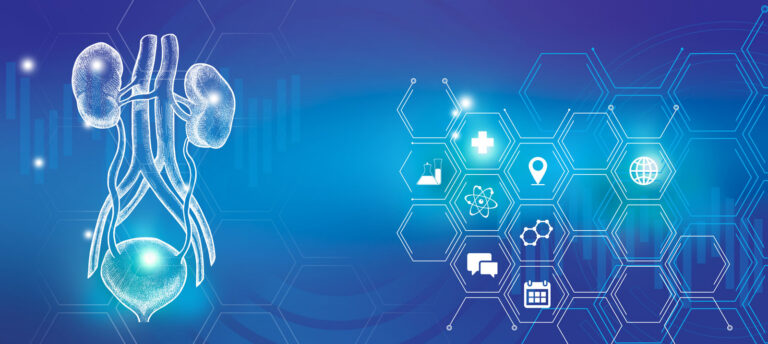 Graphic illustration of kidneys and bladder organ visualization. Healthcare concept background with medical icons.