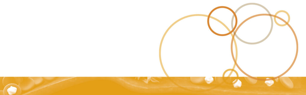 Decorative gold bar and circles on a white background