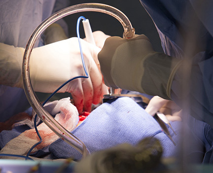 close up of gloved hands in a surgical field holding surgical instruments